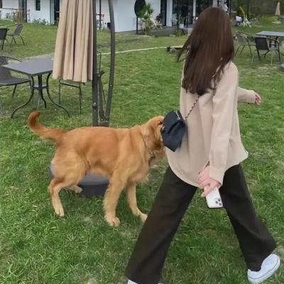 火的回忆
